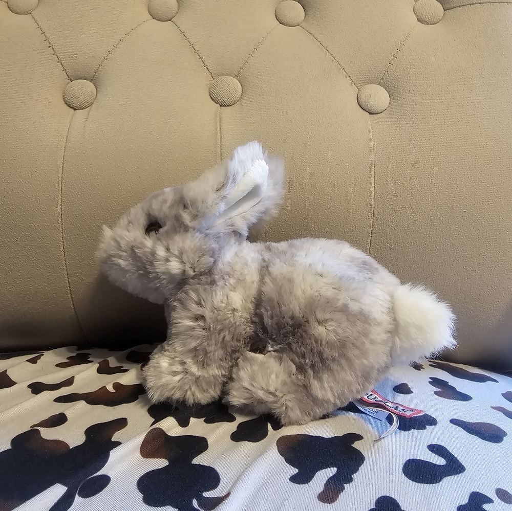 Douglas Grey Rabbit - Picture 2 of 5